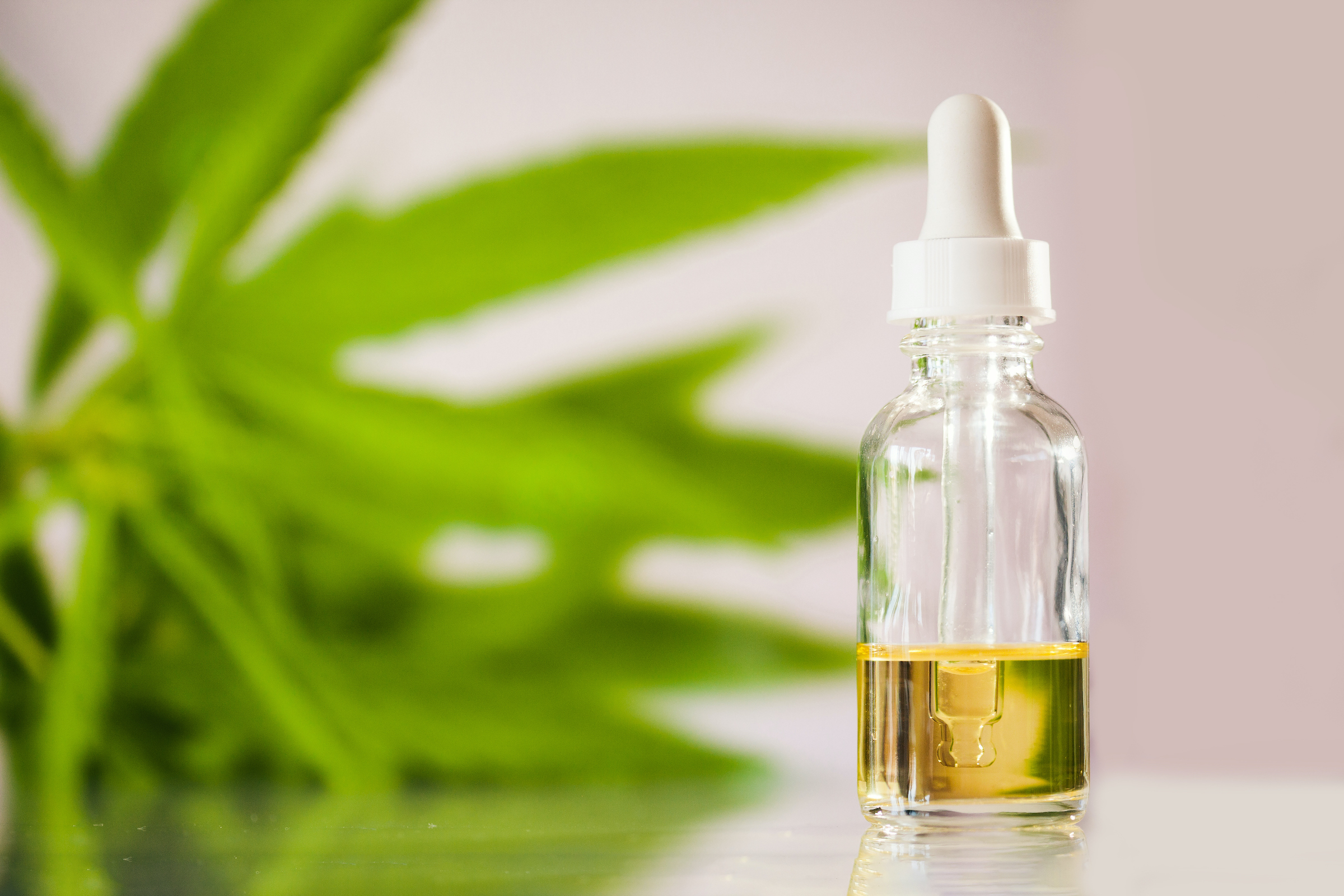 The Stress At Bay By Indulging In Cbd Oil For Anxiety