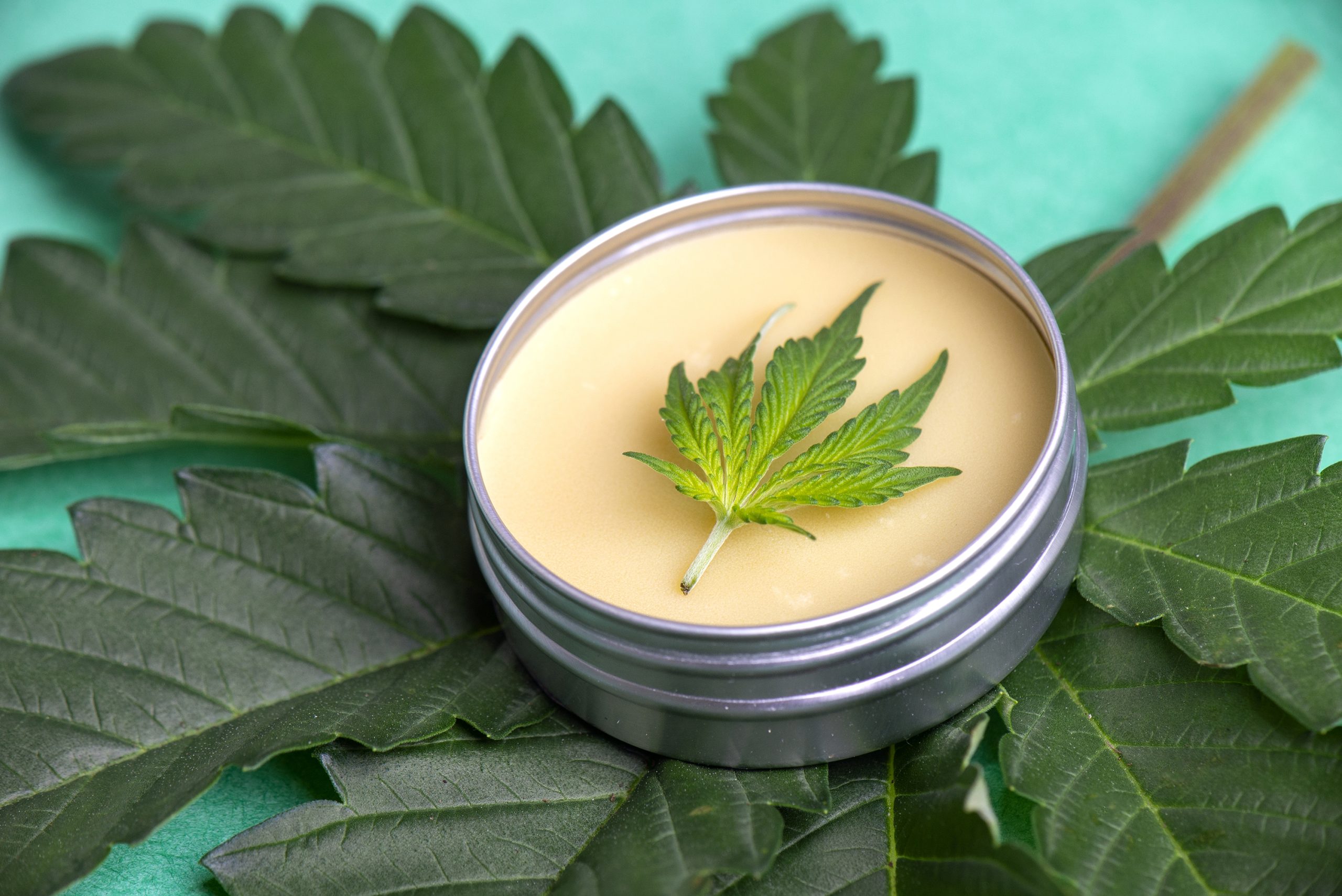 Beyond the Basics: Understanding CBD Topicals vs. Other Products