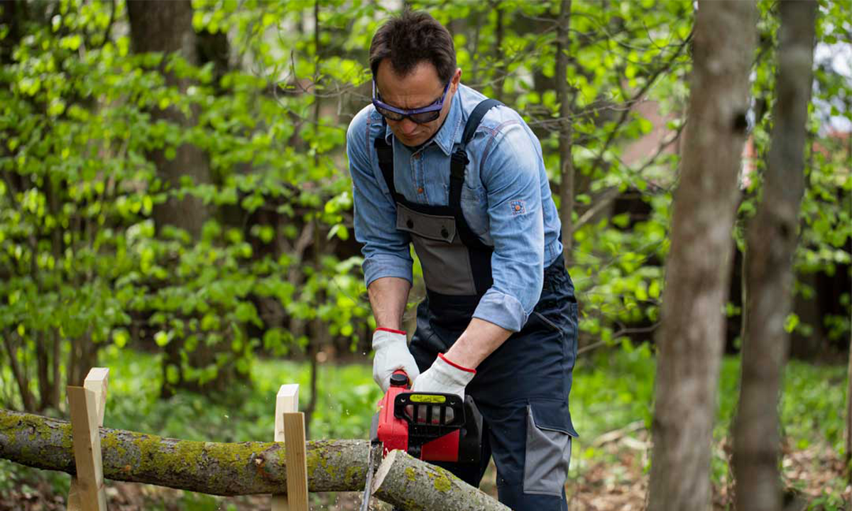 Understanding the Costs and Benefits of Tree Removal for Homeowners