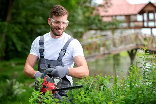 https://poncetreeservices.com/the-advanced-equipment-and-techniques-used-in-professional-plano-tree-removal/